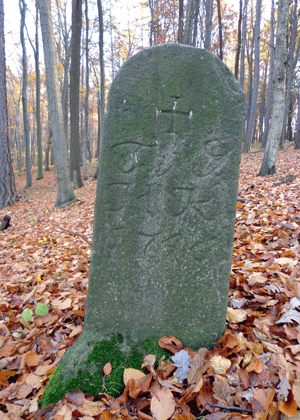 Přísaha